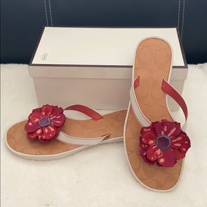 Coach poppy flip flops.  Size 7